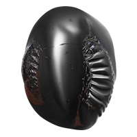 Rakt Shaligram